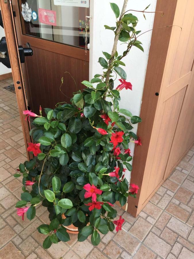 U' Fore B&B Relax Garden 诺西 外观 照片